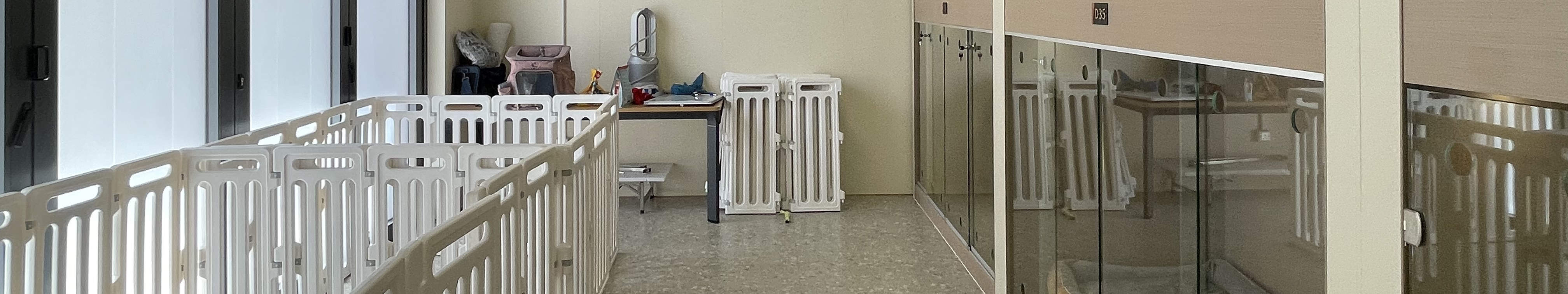 Dog Hotel Rooms Area